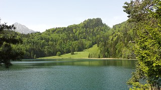 sl1